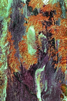 N 135A